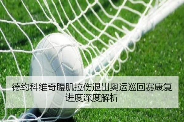 德约科维奇腹肌拉伤退出奥运巡回赛康复进度深度解析