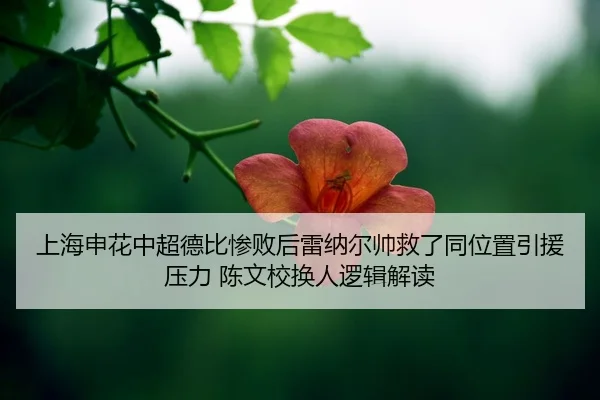 shang-hai-shen-hua-zhong-chao-de-bi-can-bai-hou-lei-na-er-shuai-jiu-le-tong-wei-zhi-yin-yuan-ya-li-chen-wen-xiao-huan-2-484.jpg