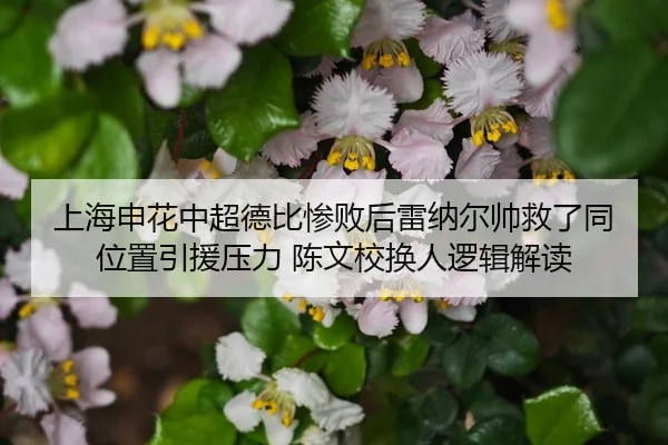 shang-hai-shen-hua-zhong-chao-de-bi-can-bai-hou-lei-na-er-shuai-jiu-le-tong-wei-zhi-yin-yuan-ya-li-chen-wen-xiao-huan-3-405.jpg