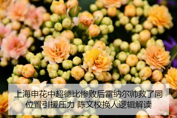 上海申花中超德比惨败后雷纳尔帅救了同位置引援压力 陈文校换人逻辑解读